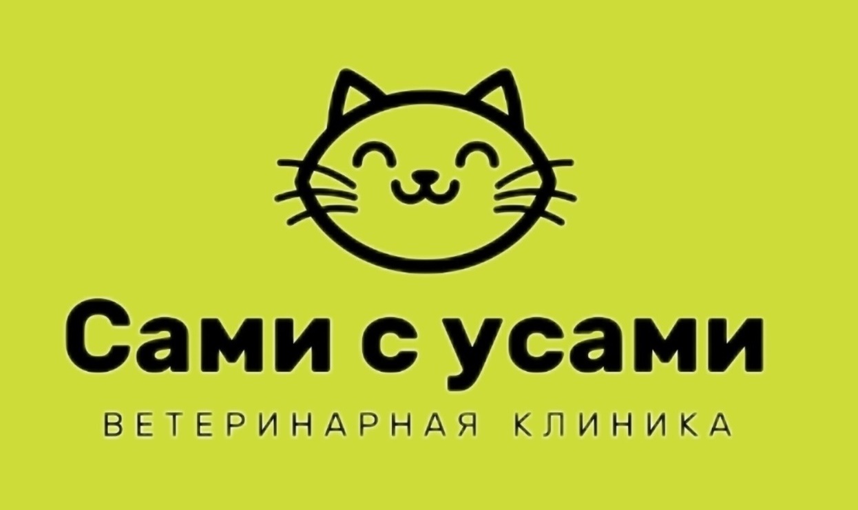 Груминг в Томске