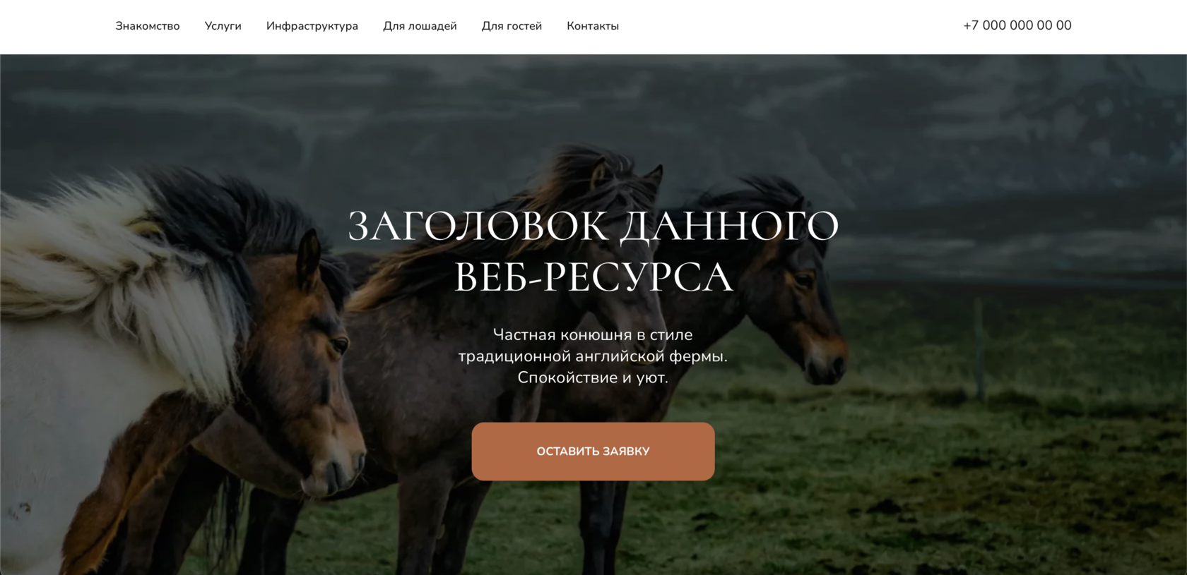 Аренда денников для лошадей – конноспортивный клуб Horse Village