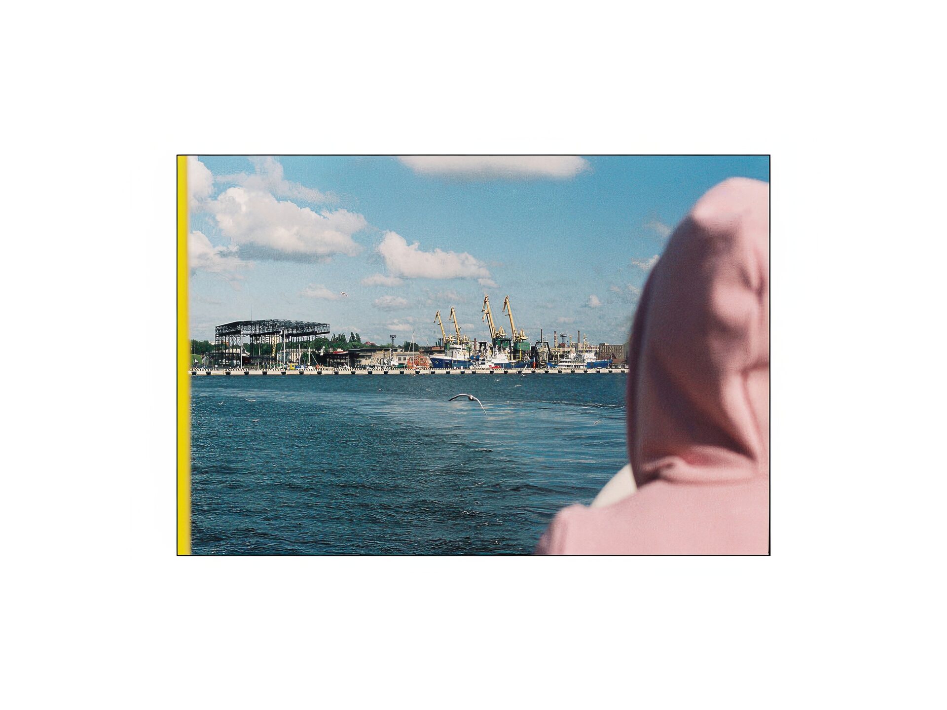 Янис Марецкий. Объективная Литва.