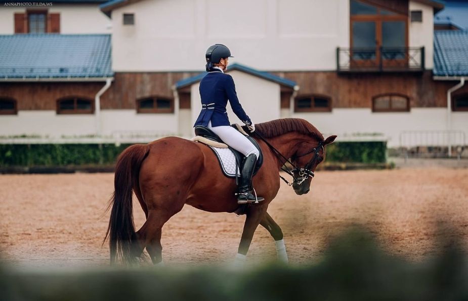 Всероссийский турнир по выездке в «Вента Арена» — приглашает всех любителей спорта!