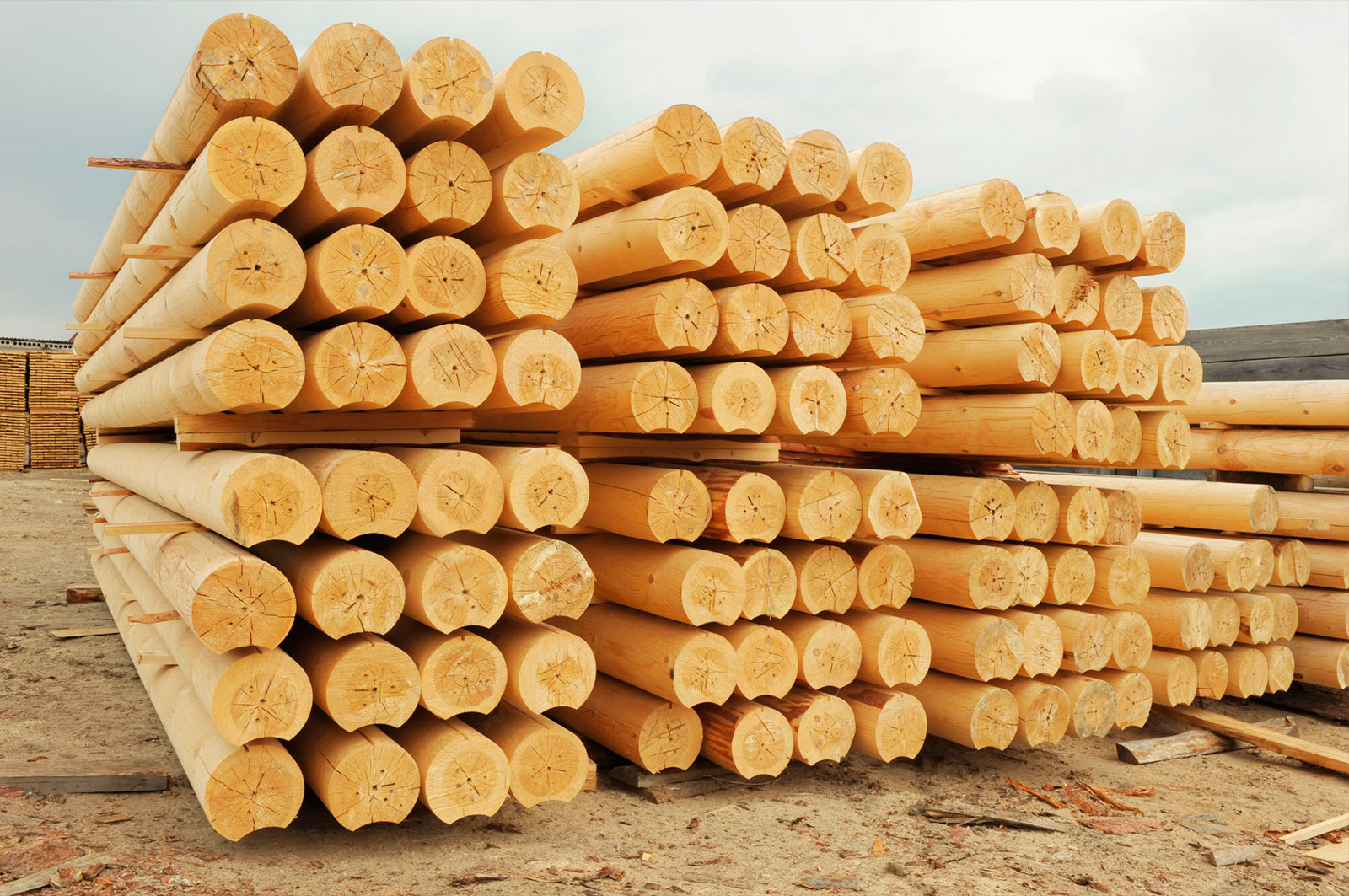 Lumber wood. Оцилиндрованное бревно 100 мм. Оцилиндрованное бревно лиственница. Кругляк лиственница 2м. Круглые лесоматериалы.