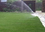 Газон Тюмень - Полив газона в Тюмени