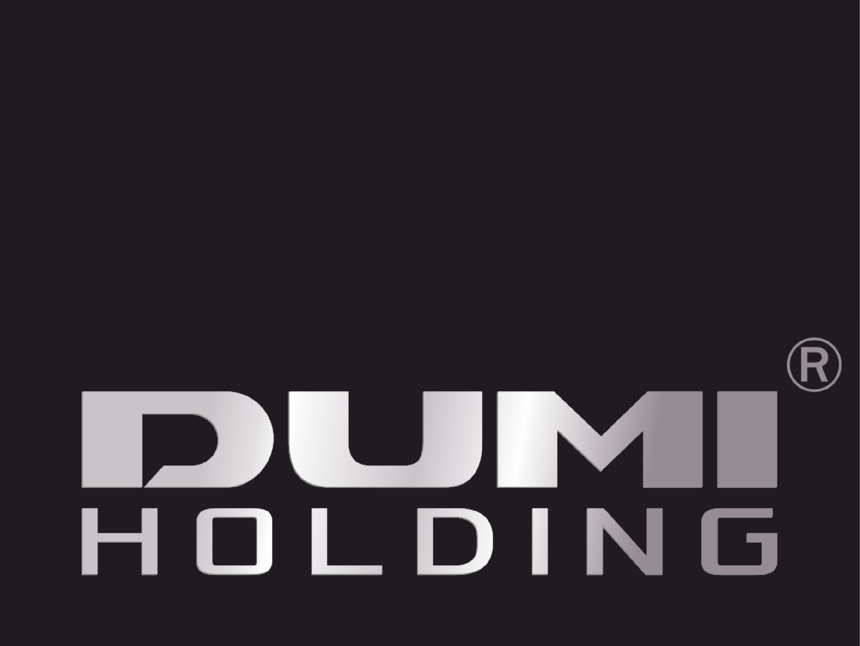 DUMI-HOLDING