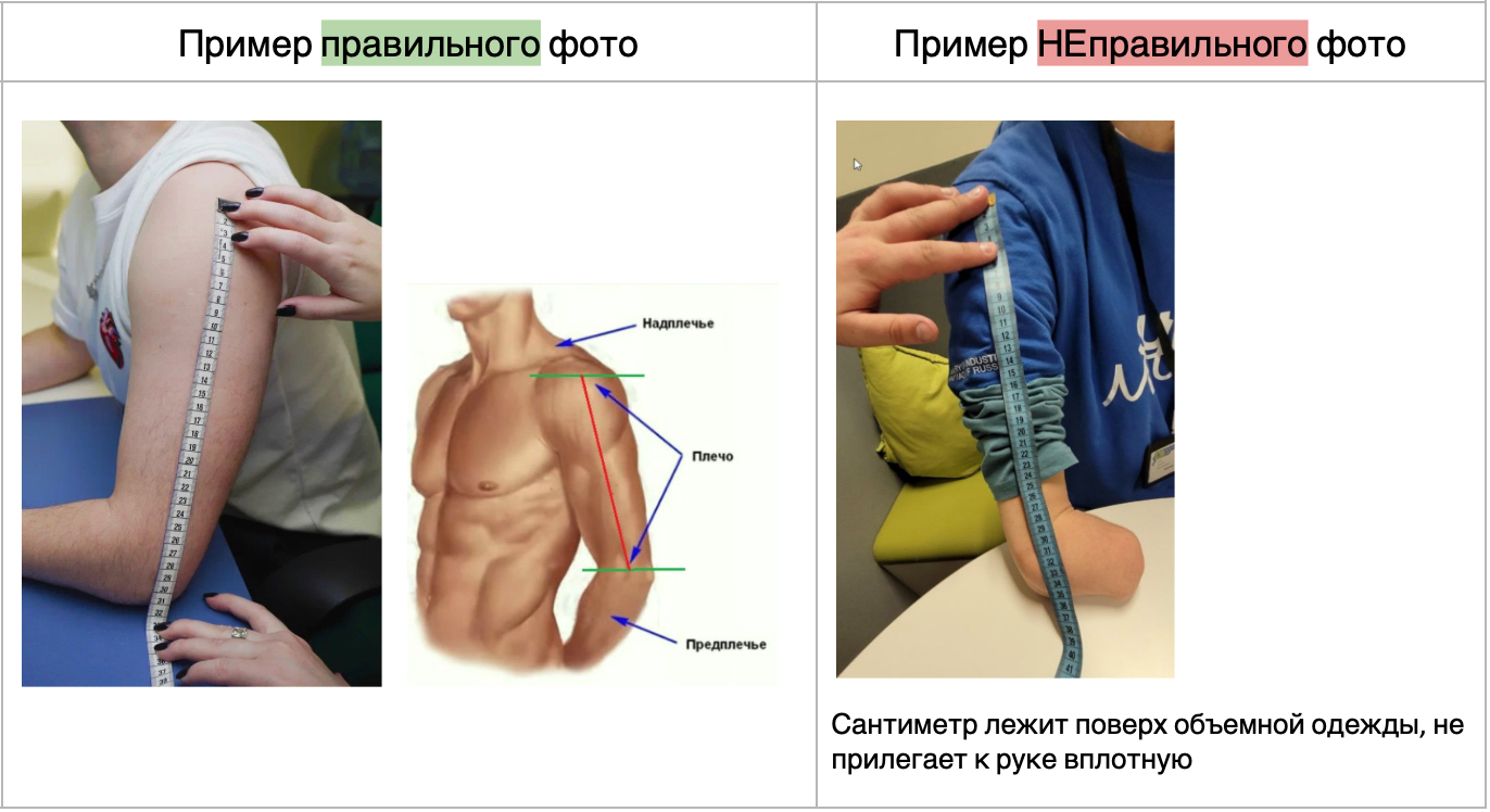 Левое Предплечье Где Находится Фото