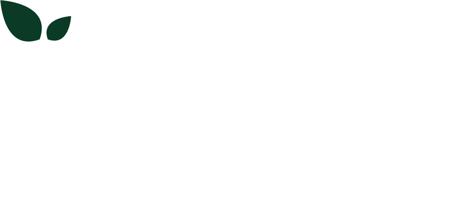  Фрукты и ягоды 