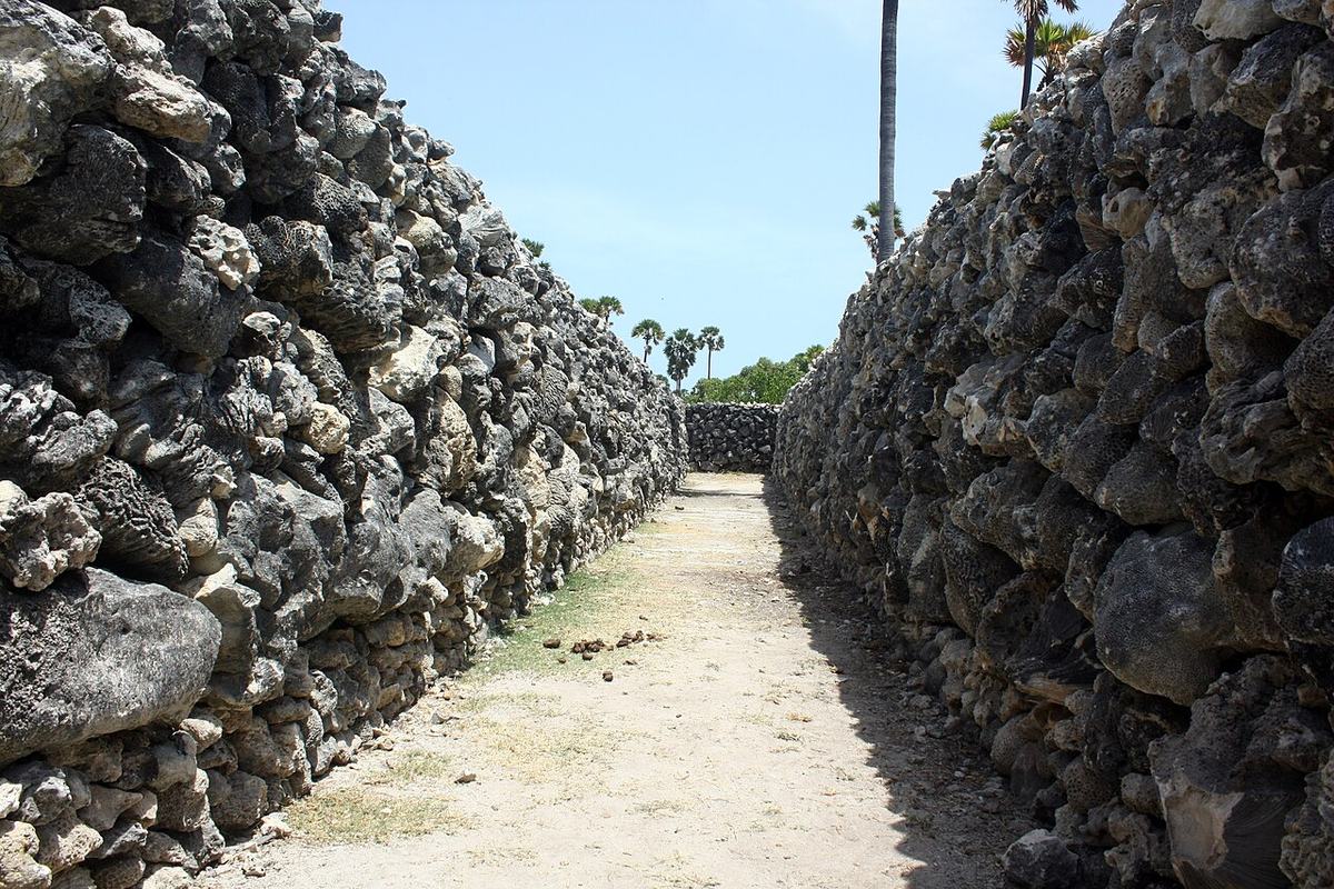 Coral-stone walls forming a narrow path on Neduntheevu, or Delft Island, Sri Lanka