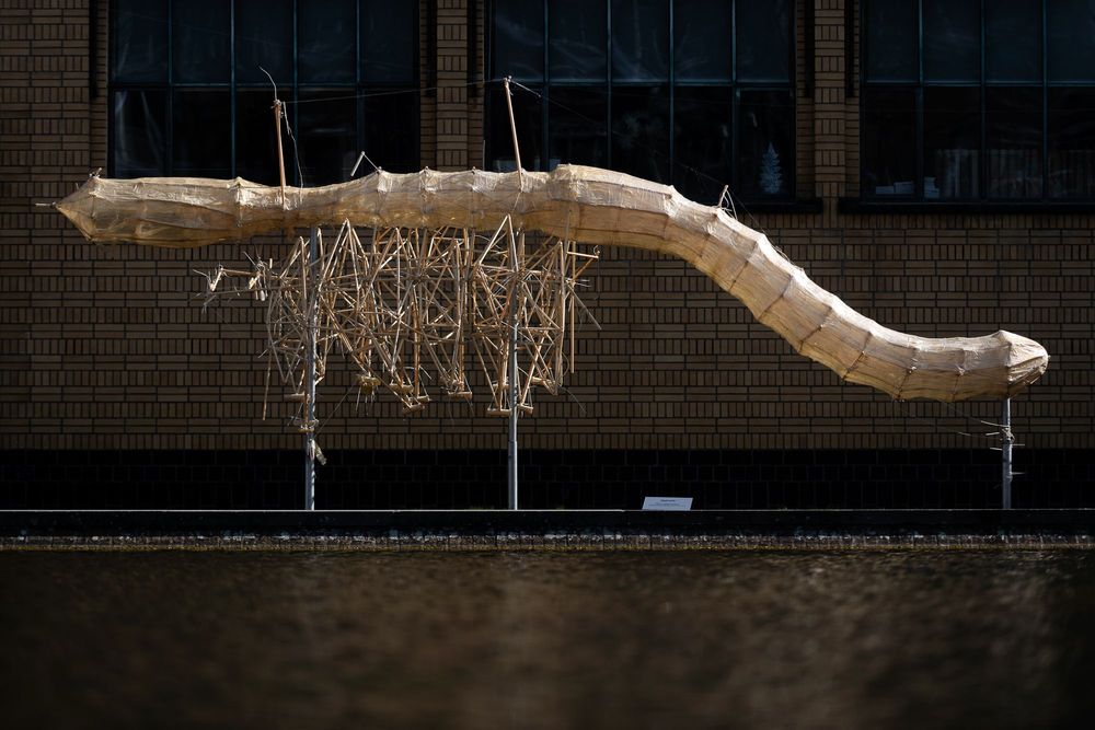 Strandbeests The Next Generation - Strandbeest