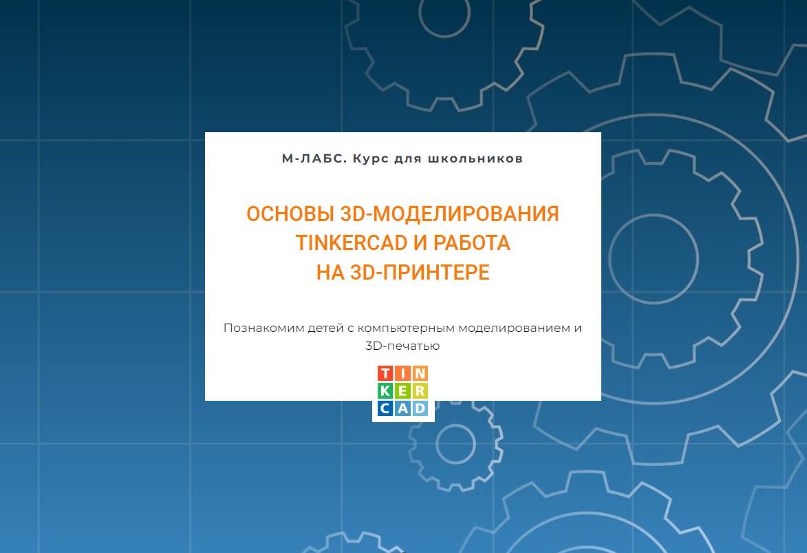 Курс для школьников «Основы 3D-моделирования Tinkercad и работа на 3D-принтере»  | М-ЛАБС