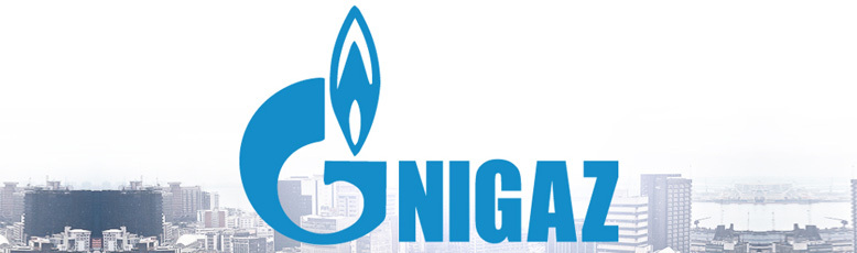 Цена нейминга. Нигаз дорого обошлись Газпрому