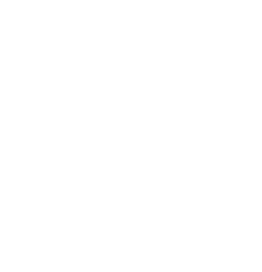 website icon