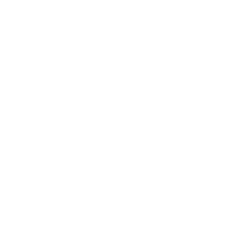 Портретная экспертиза