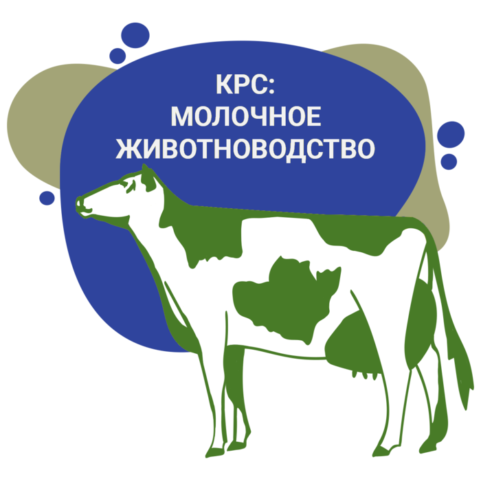 Комбикорм оптом от производителя | Комбикормовый завод CBS Волосово