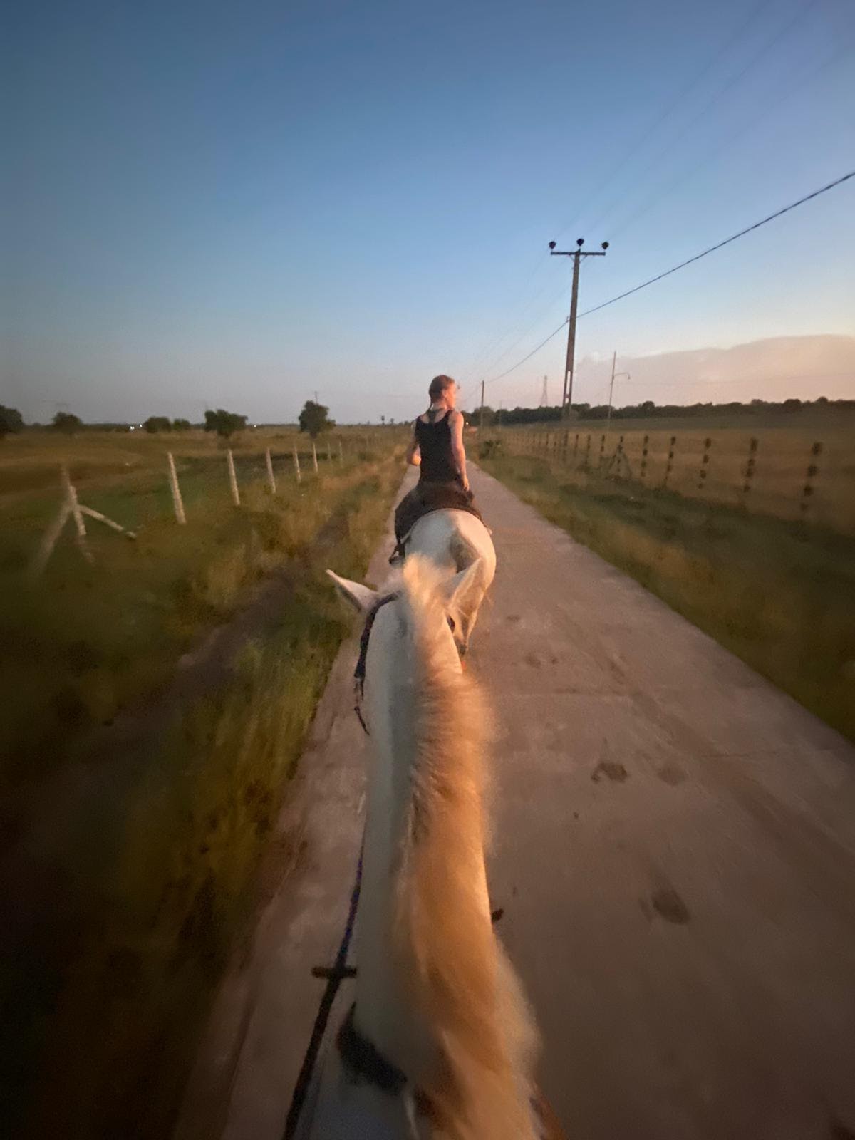 Vonfidel Ranch horseback riding holiday in Sri Lanka with scenic trail experience