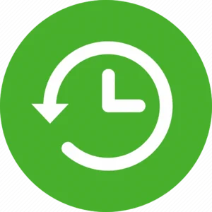 website icon