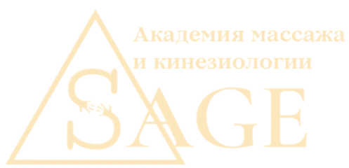 Академия массажа и кинезиологии 