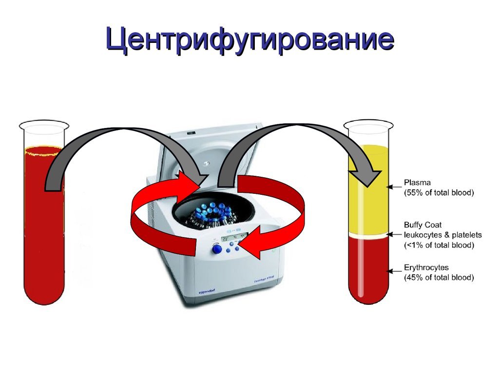 Бронежилет из неньютоновской жидкости картинка