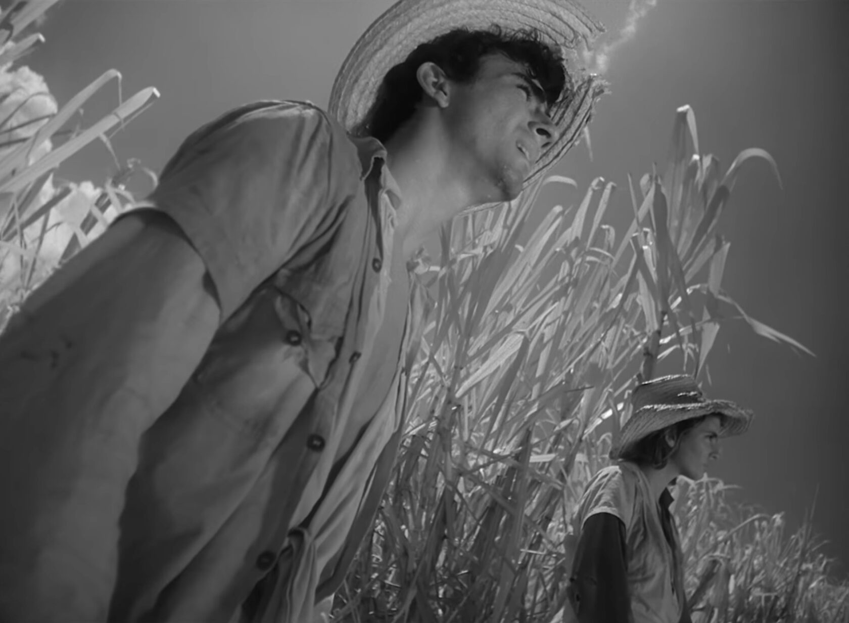 Я - Куба - Голландский угол