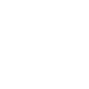website icon