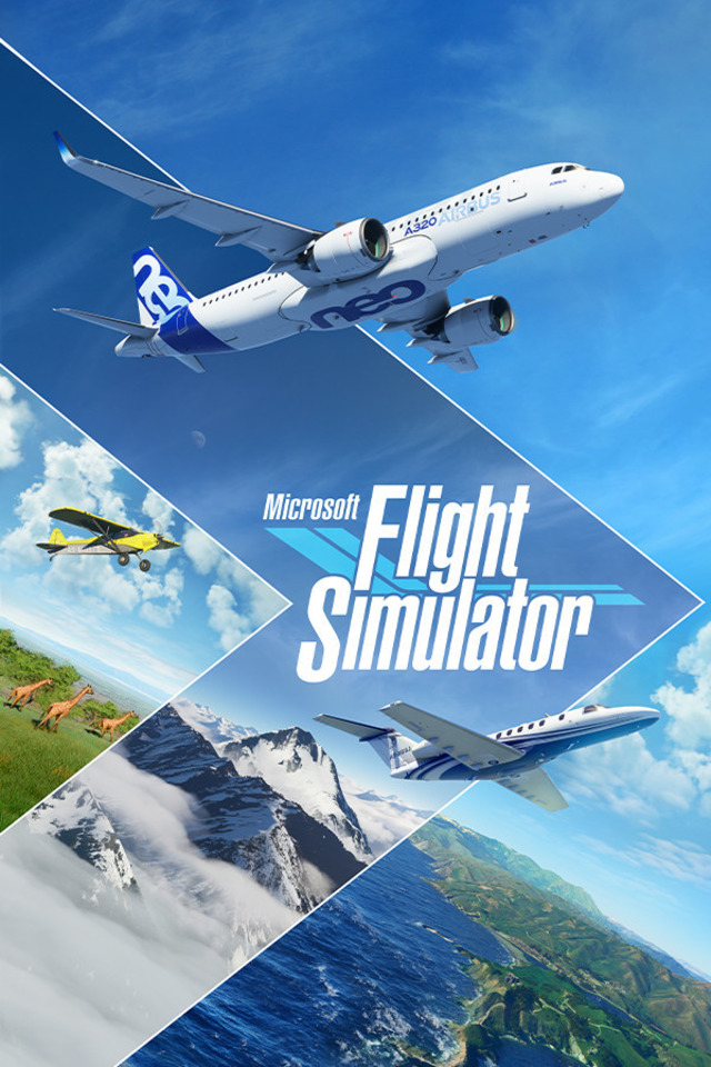 Flight Simulator