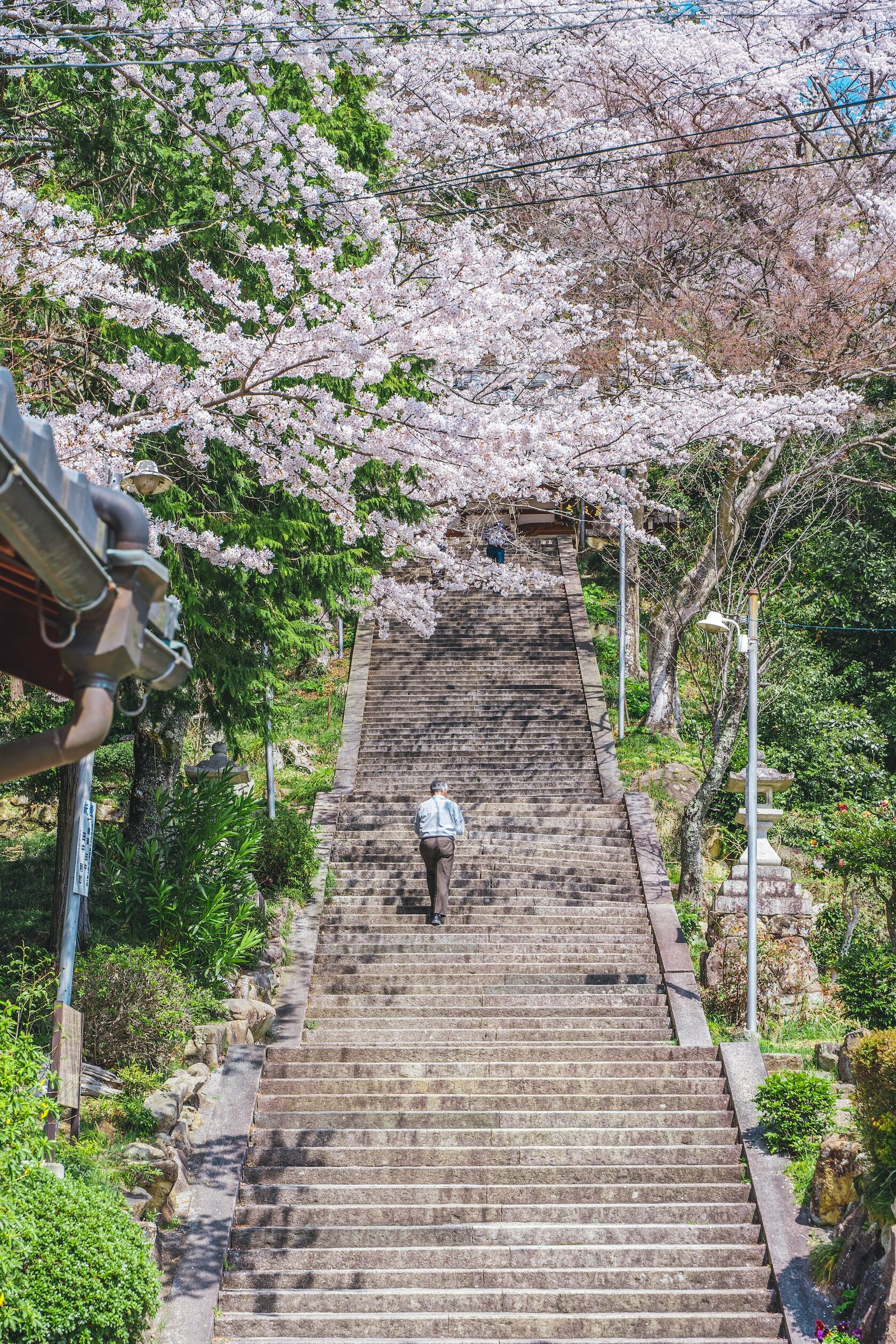 ступени к храму Ага в префектуре Сига, Япония