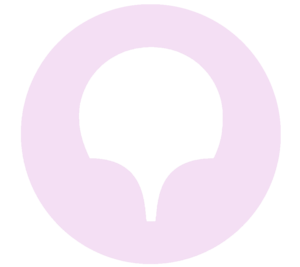 website icon