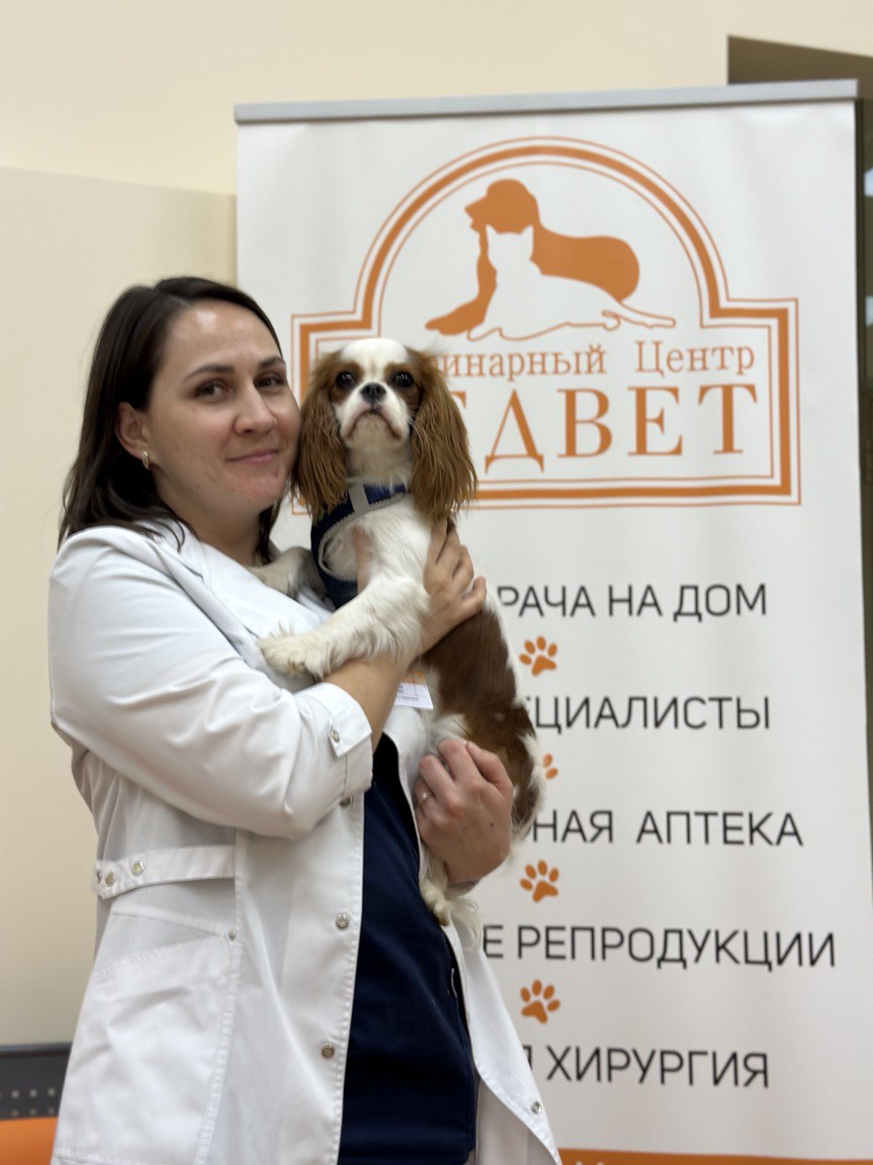 Ветеринарный Стоматолог