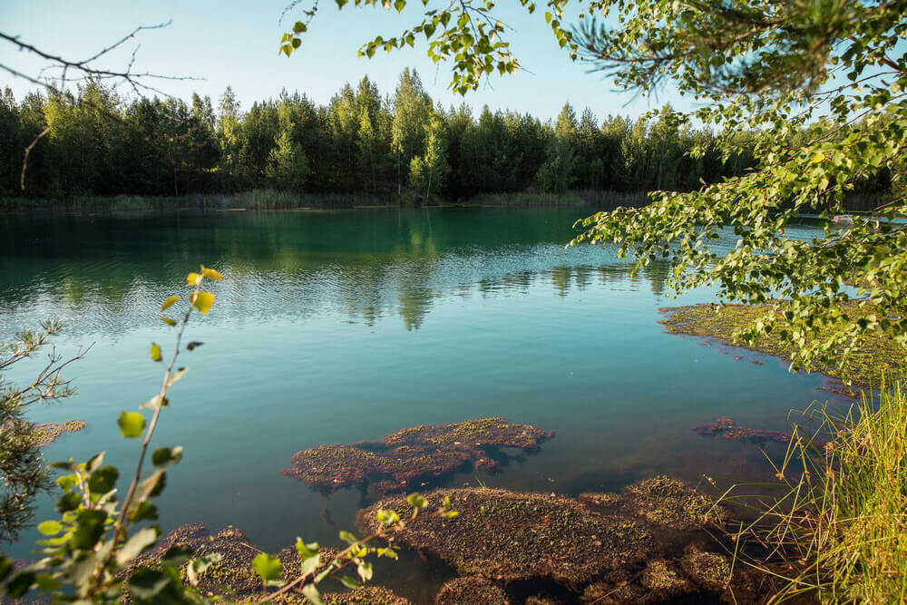 Голубое озеро воскресенский район фото