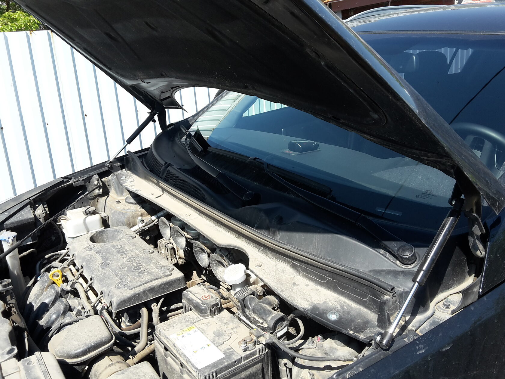 Купить Амортизаторы Капота На Киа