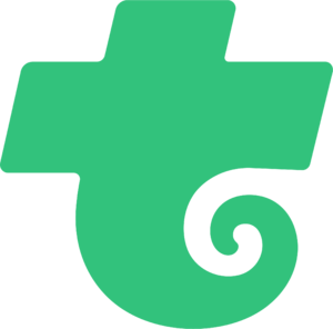 website icon