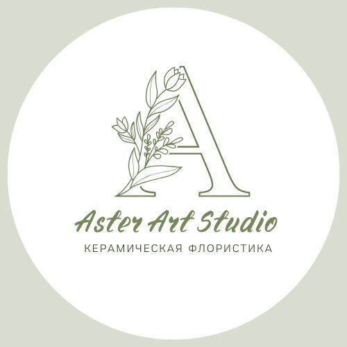 Aster Art&nbsp; Studio