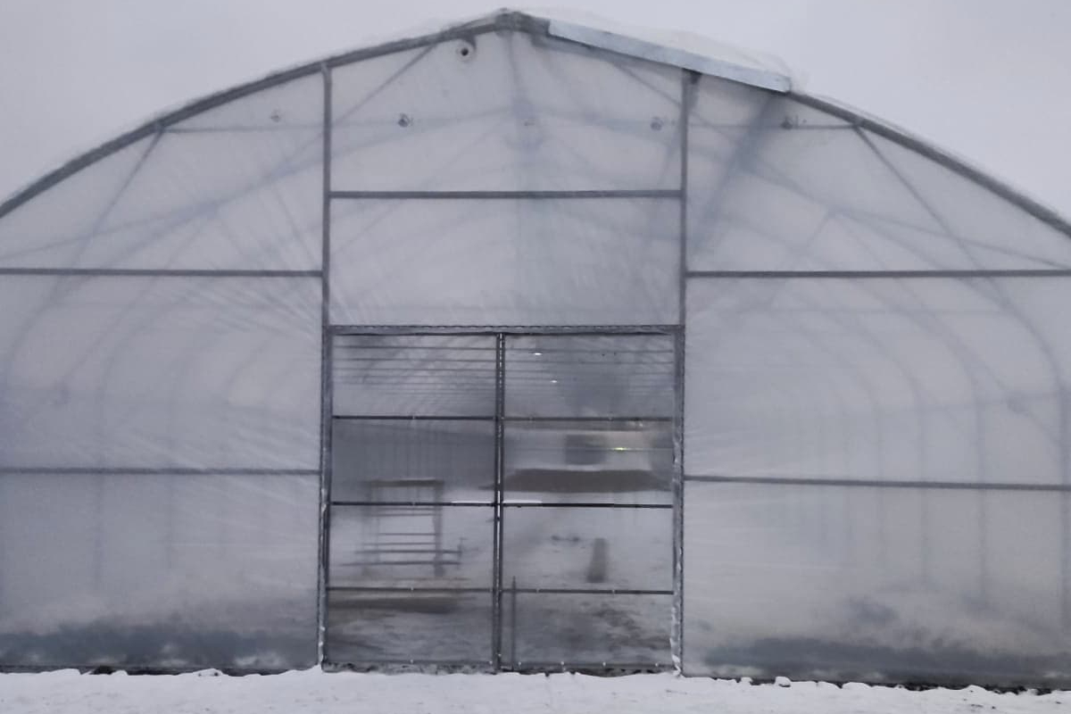 выращивание лекарственных растений