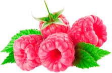 малина для торта