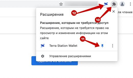 Terra Station Wallet
