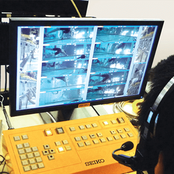 sistema-videonablyudeniya-dlya-basseyna-seyko