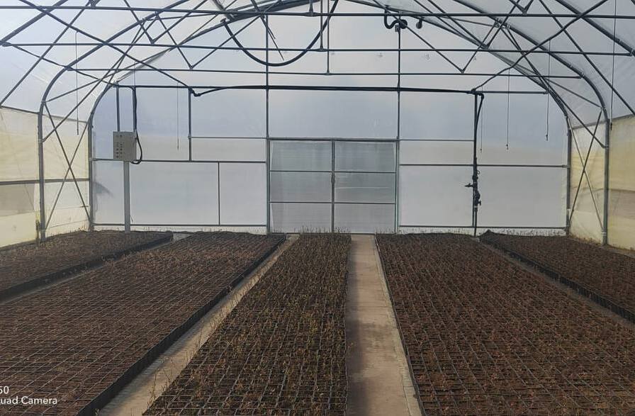 индустриальное земледелие