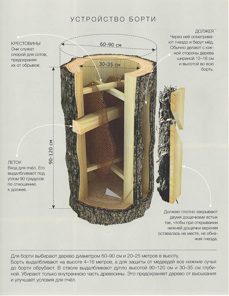 Улей колода своими руками чертежи