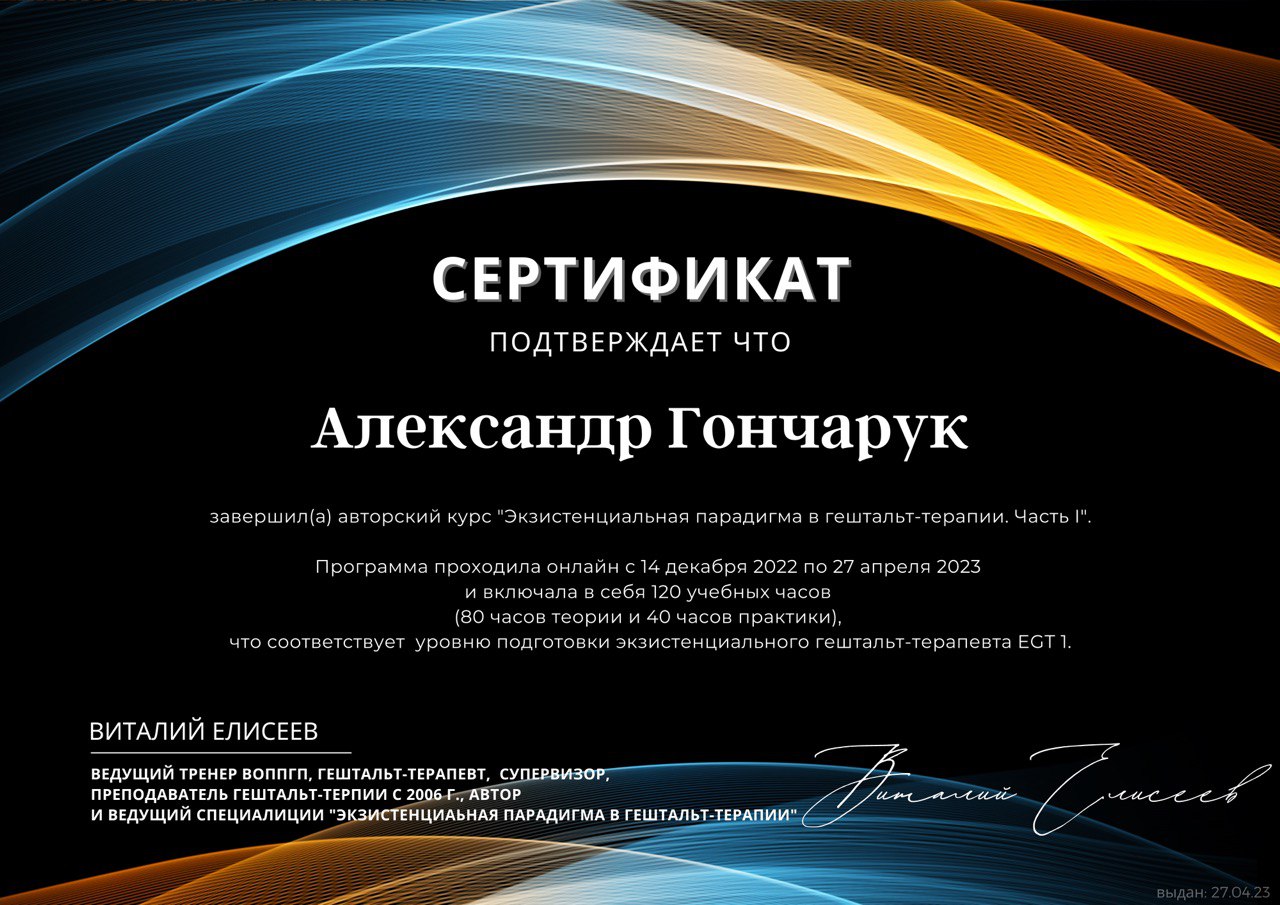 Сертификат Александра Гончарука
