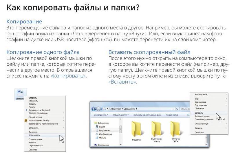 Как копировать текст с картинки на компьютере