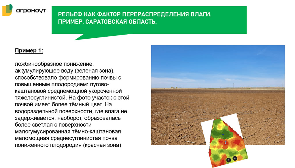 Агроноут. Агроноут лого. Ооо «агроноут» логотип компании. Агроноут. Агроноут лого.