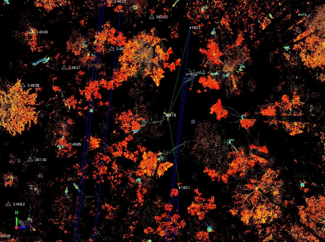 Подеревная съемка