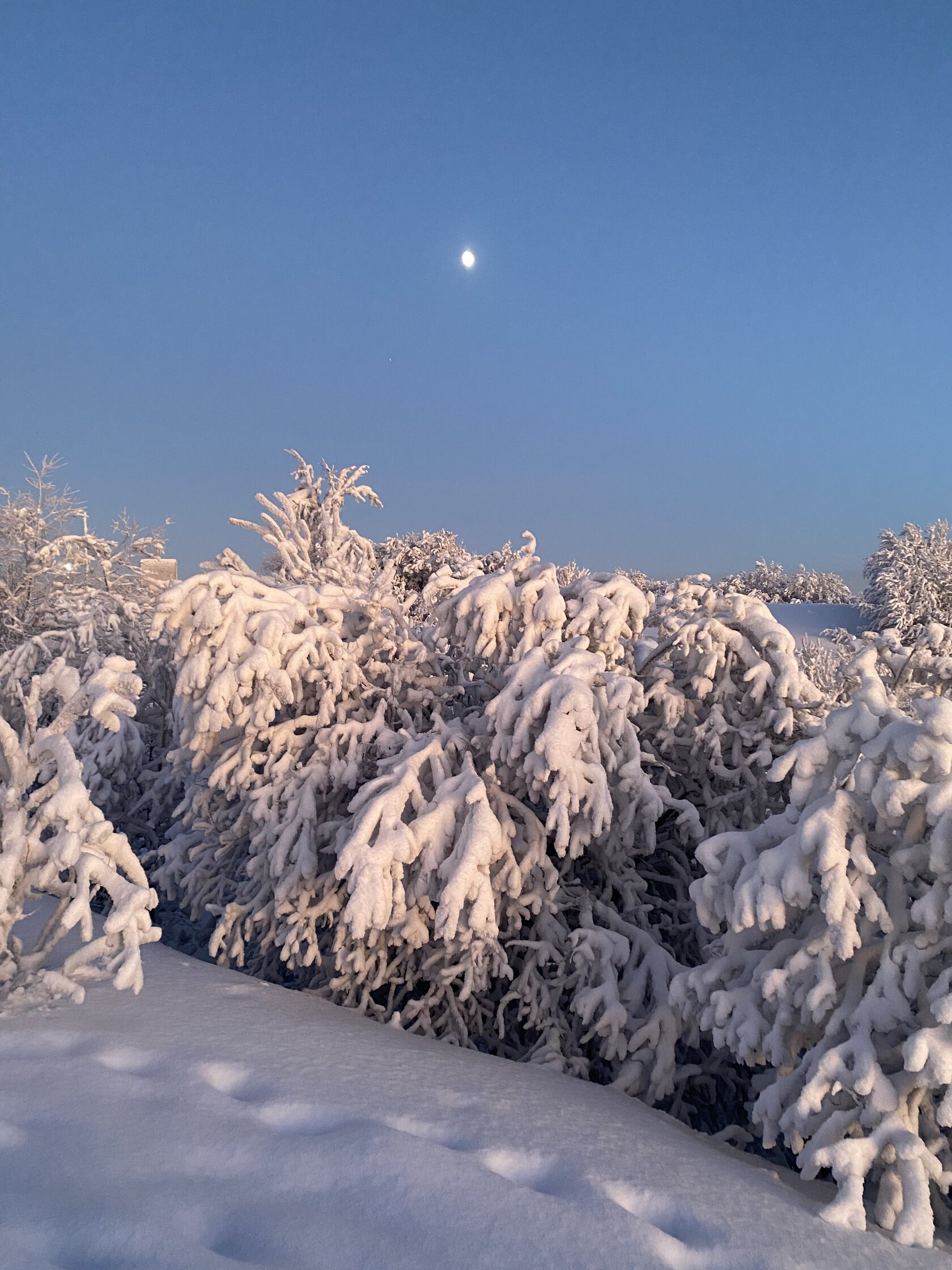 Выходной тур на Кольский