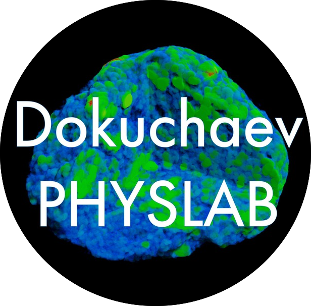 Dokuchaev PhysLab 