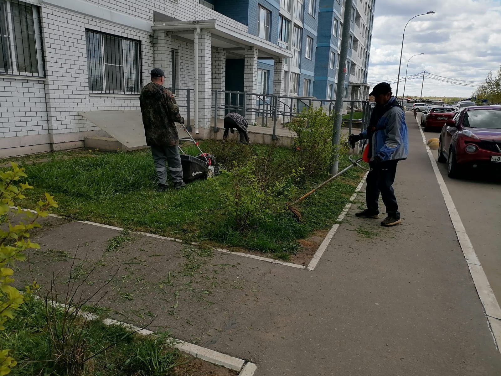 Покос придомовой территории по адресу: г. Тверь, улица Левитана дом 58,  корпус 1,2,3,4,5,6