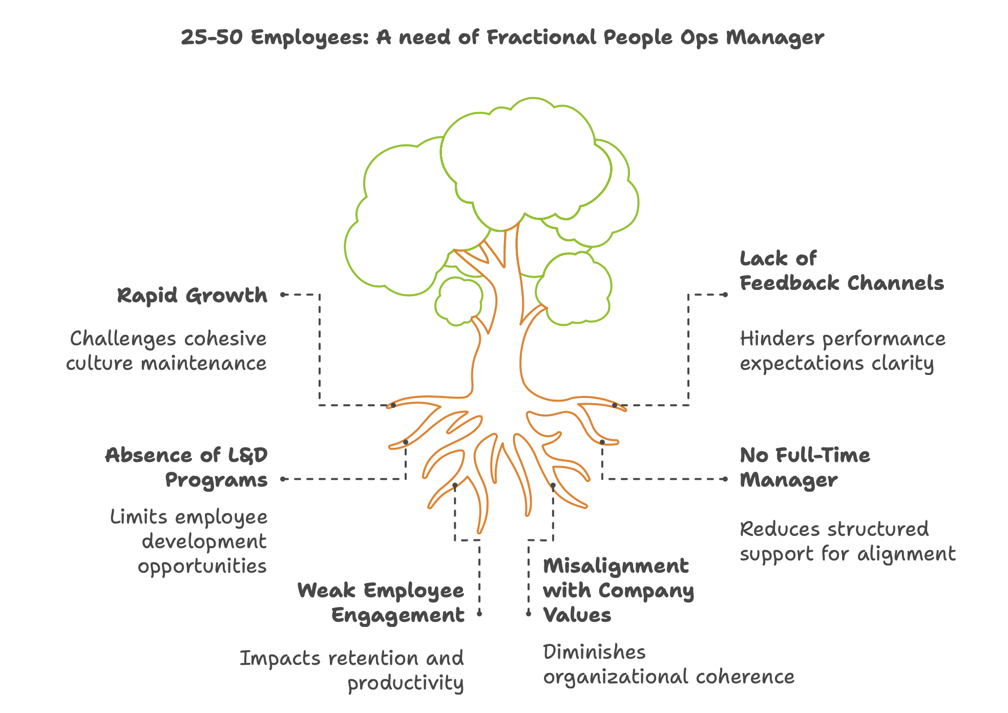 Why you need Fractional People Ops Manager when 25-50 Employees