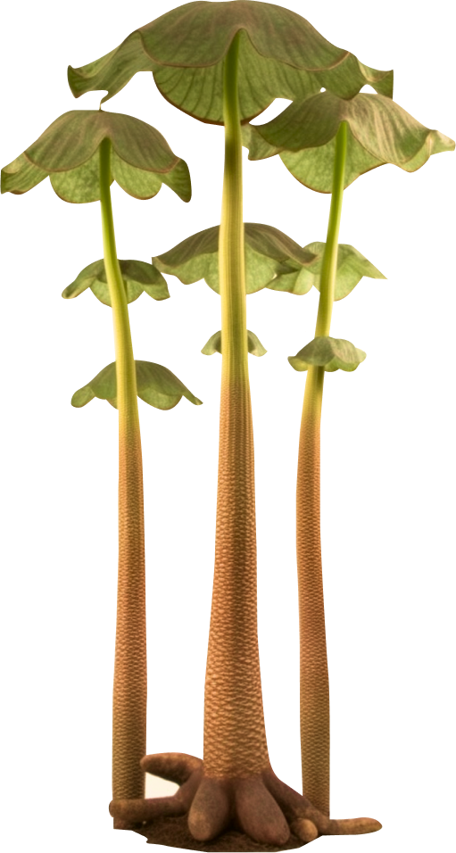 plant from creative design agency gigitalica