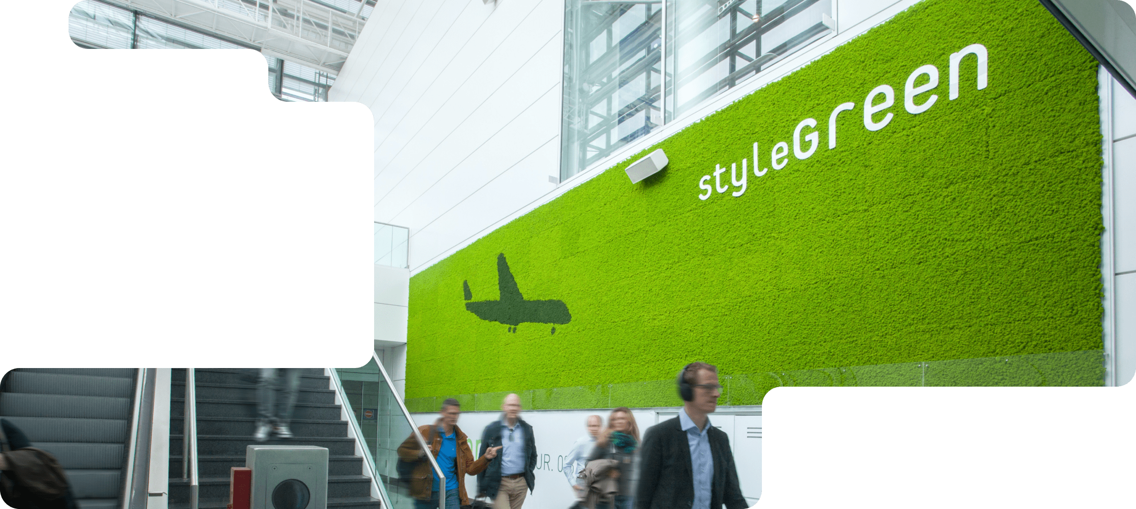 стабилизированный мох для тц