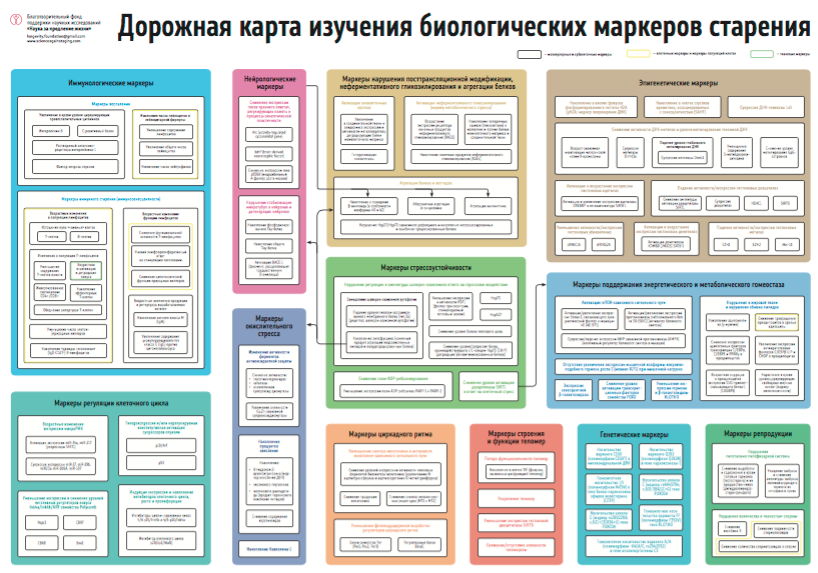 Книга дорожная карта