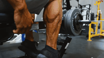 Дропсет «Подъем на носки сидя»