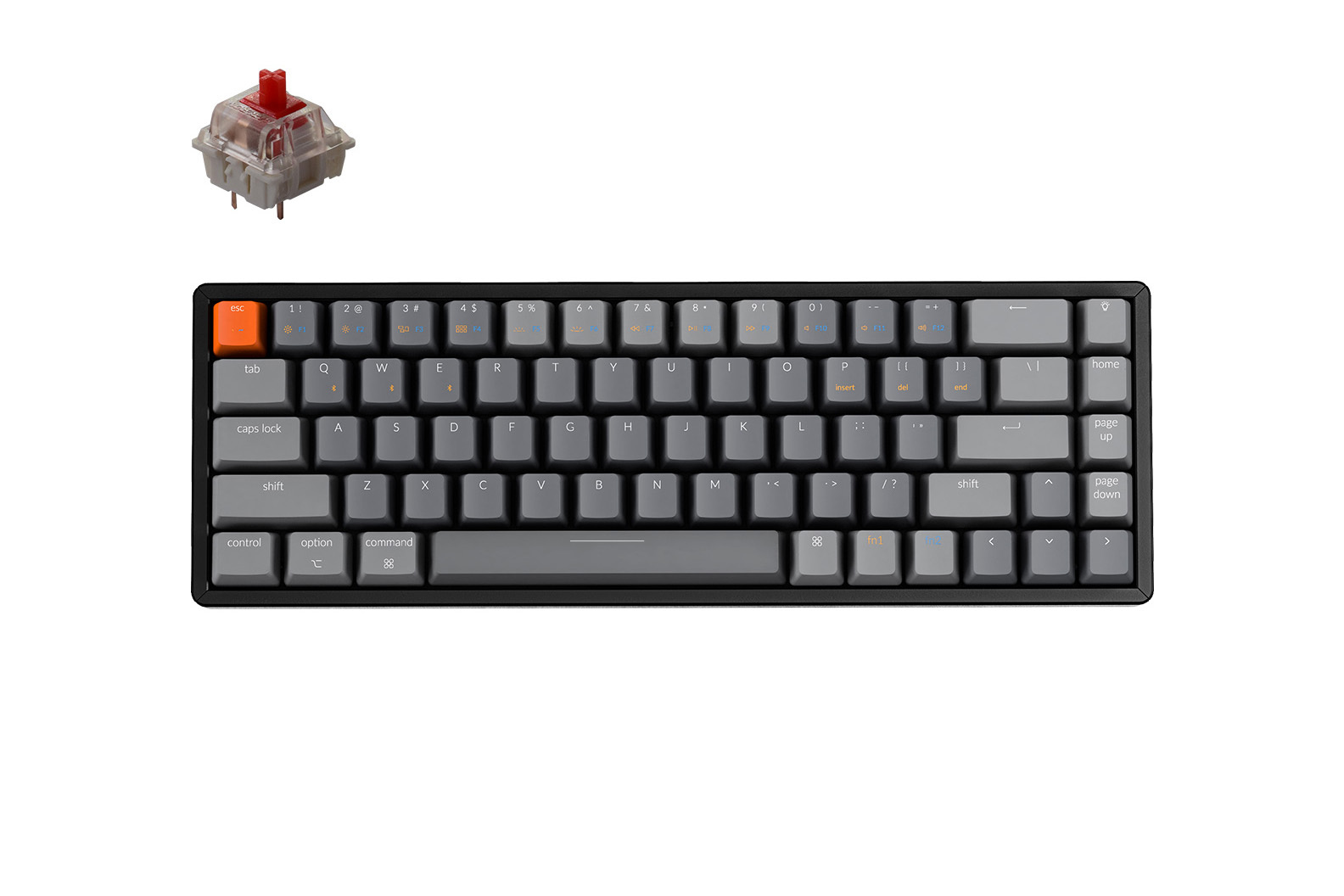 keychron k6 cena