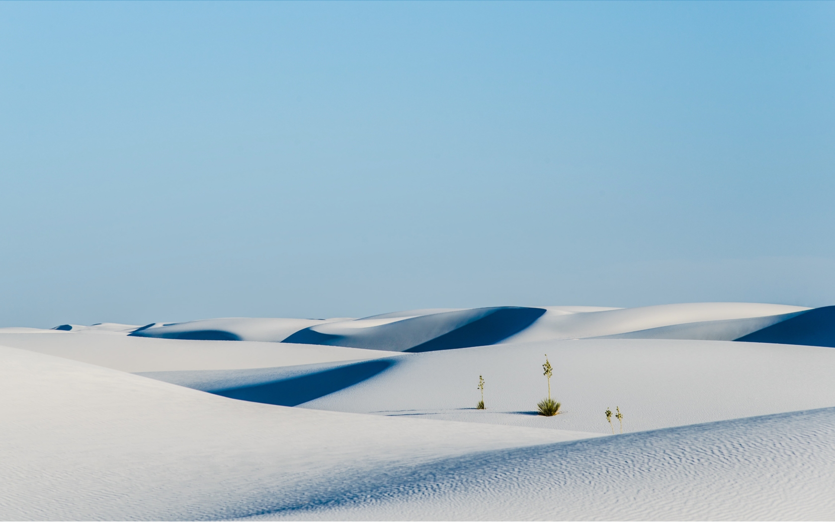 Брокерские услуги и доверительное управление